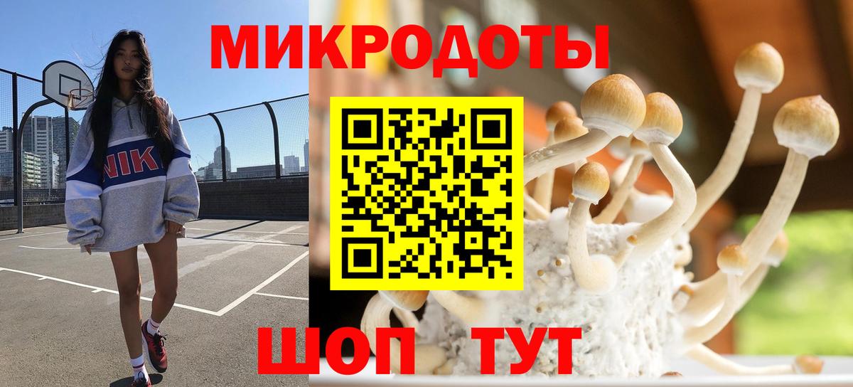 Псилоцибиновые грибы Cubensis Гудермес