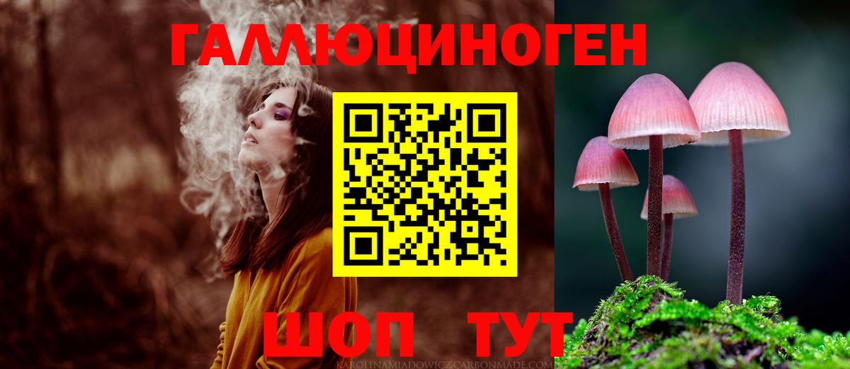 Псилоцибиновые грибы Cubensis  Галлюциногенные грибы GOLDEN TEACHER  Гудермес  Вход с VPN 